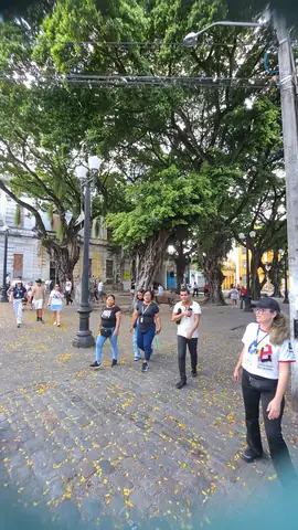 Foto 23 de 38 — Visita do dia 14 de setembro de 2025