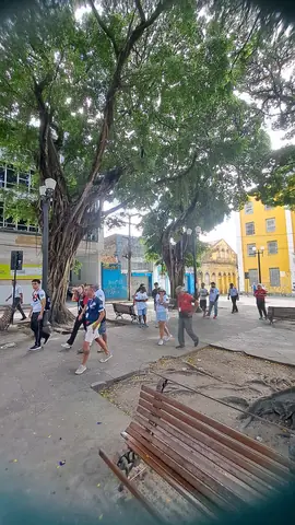 Foto 22 de 38 — Visita do dia 14 de setembro de 2025