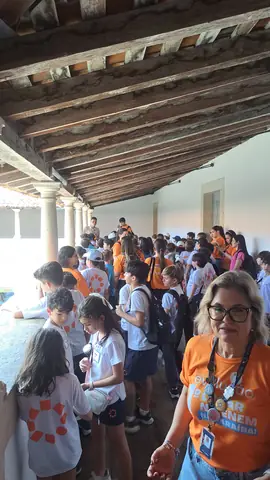 Foto 4 de 7 — Visitas do dia 14 de novembro de 2025