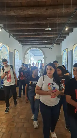 Foto 8 de 17 — Visitas do dia 11 de junho de 2026