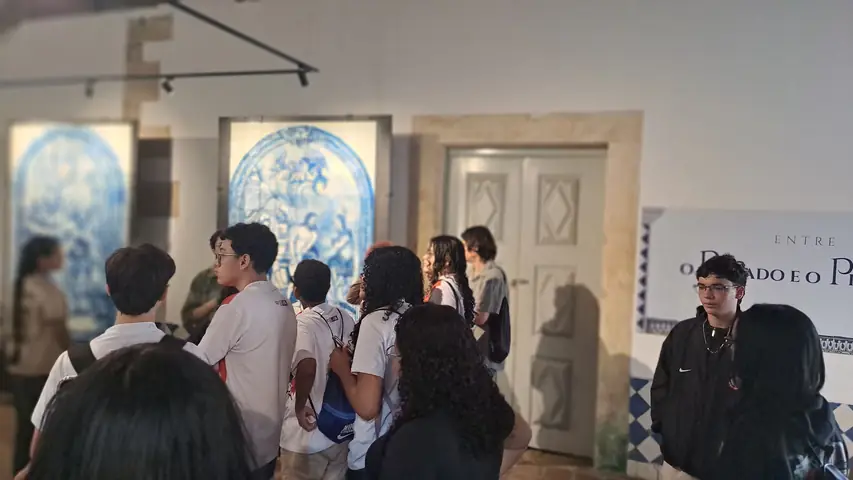 Foto 10 de 10 — Visitas do dia 21 de julho de 2026.