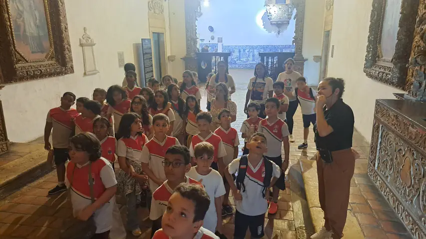 Foto 12 de 12 — Visitas do dia 8 de julho de 2026.
