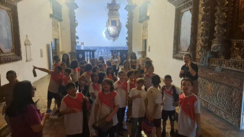 Foto 9 de 12 — Visitas do dia 8 de julho de 2026.