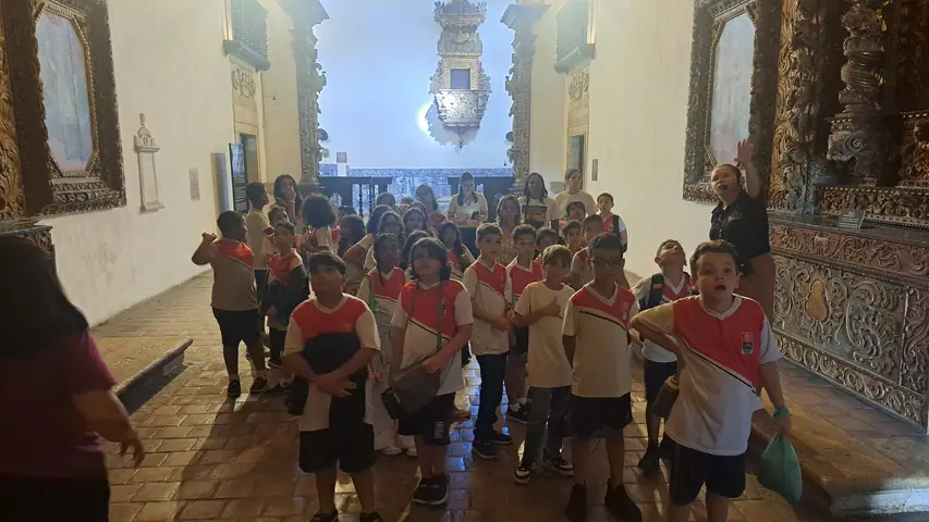 Foto 10 de 12 — Visitas do dia 8 de julho de 2026.