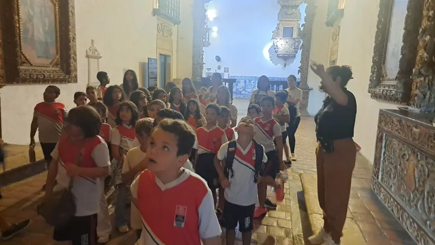 Foto 11 de 12 — Visitas do dia 8 de julho de 2026.