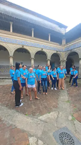 Foto 11 de 12 — Visitas do dia 29 de agosto de 2026.